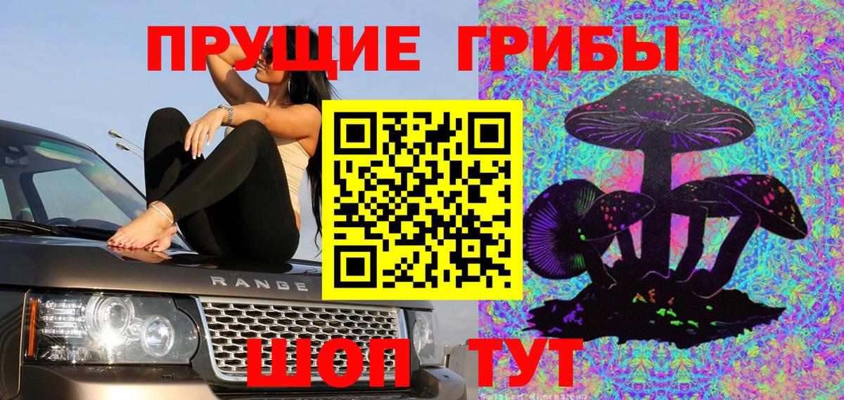 Псилоцибиновые грибы GOLDEN TEACHER  Вход с VPN  Альметьевск 