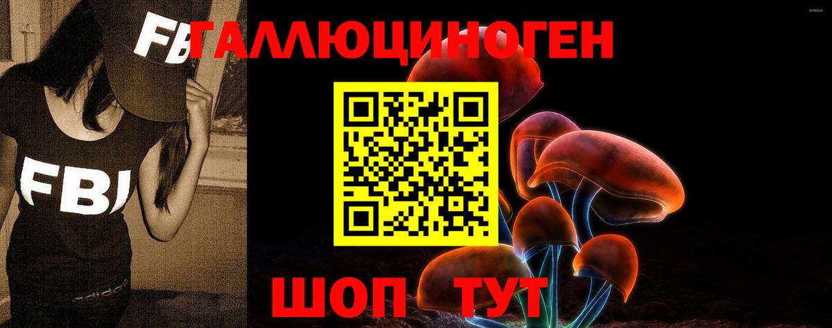 Псилоцибиновые грибы Cubensis Альметьевск